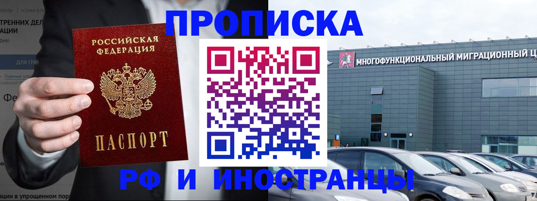 прописка штамп в Приволжске